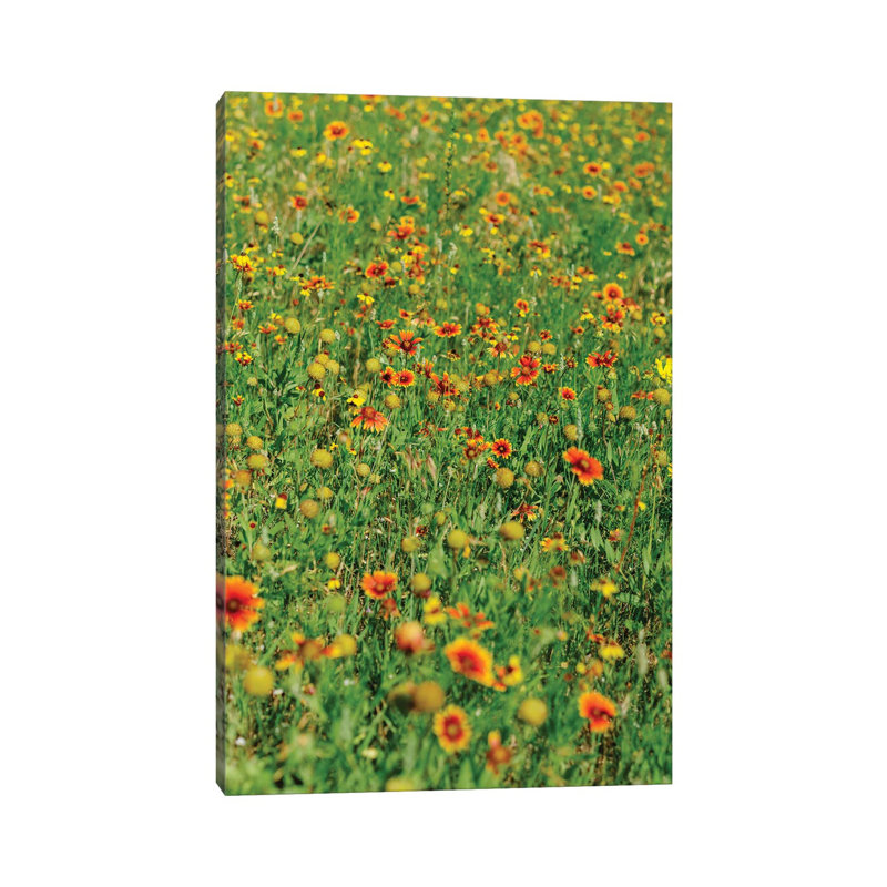 Indian Blanket Wildflowers II 1 Piece Wall Art on Canvas, 45.72cm H x 30.48cm W x 1.91cm D, Wrapped Canvas