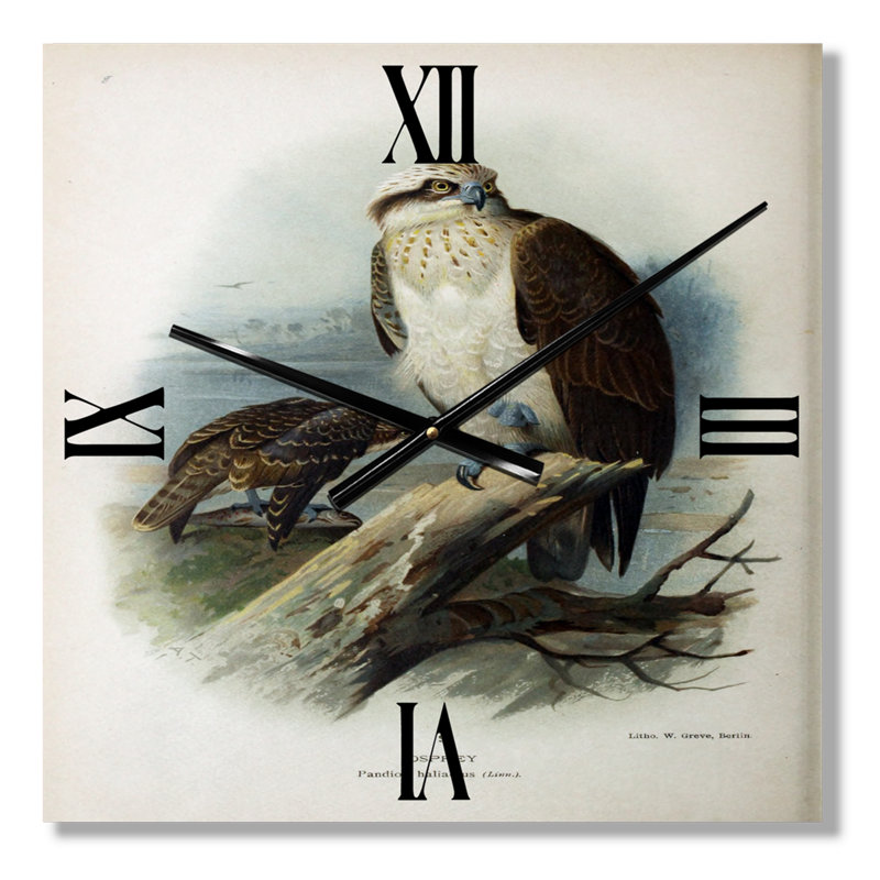 Horloge murale Bird Life VI, Petit