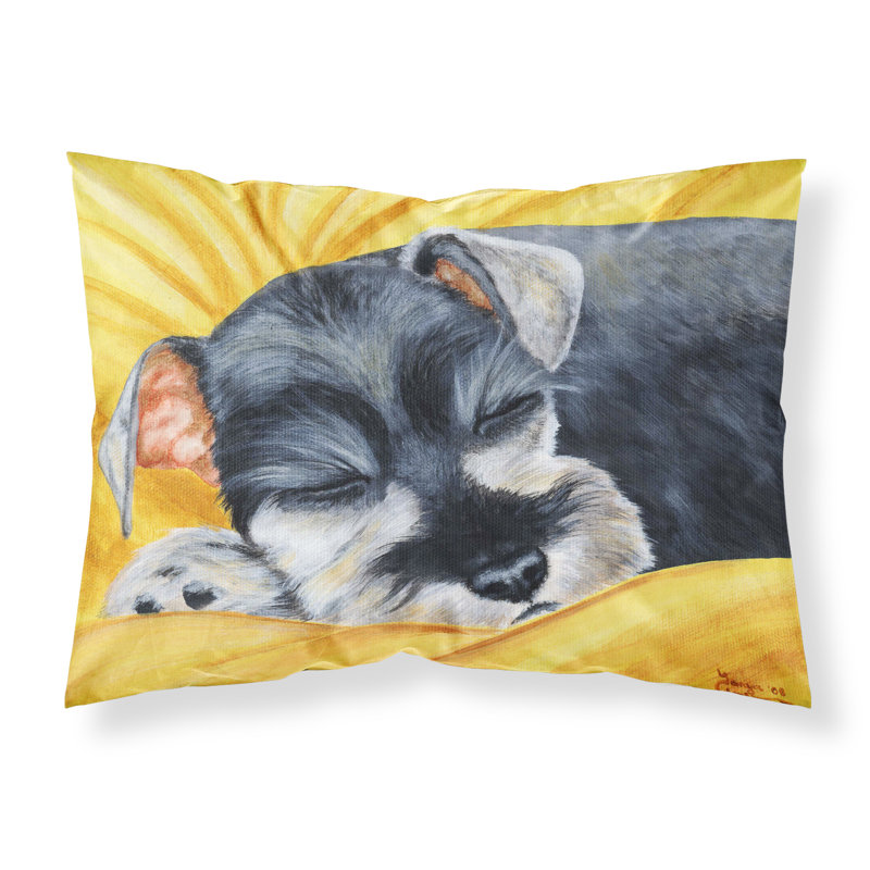  Taie d'oreiller Snoozing Schnauzer