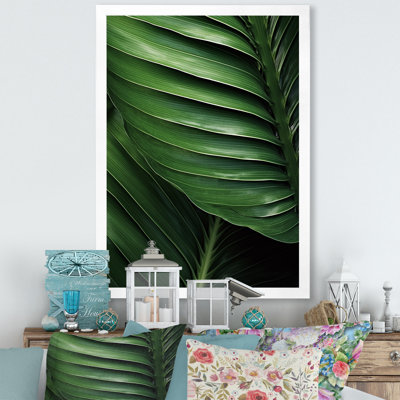 " Emerald Exotic Embrace Palmscape I "