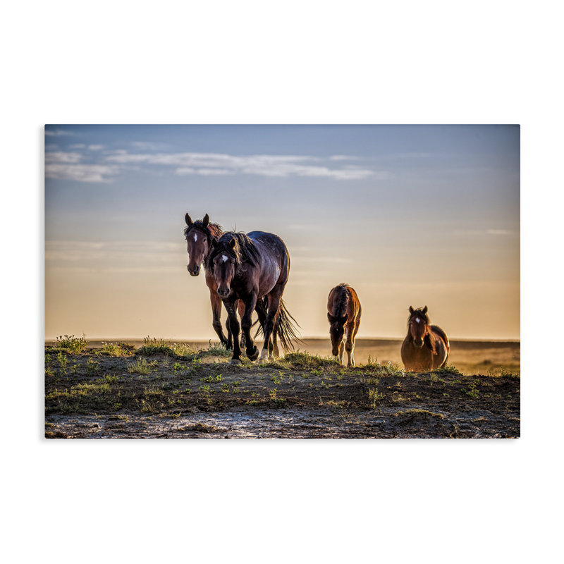 Toile Horses Coming Home, design par Tim West, H 16 po x l 24 po