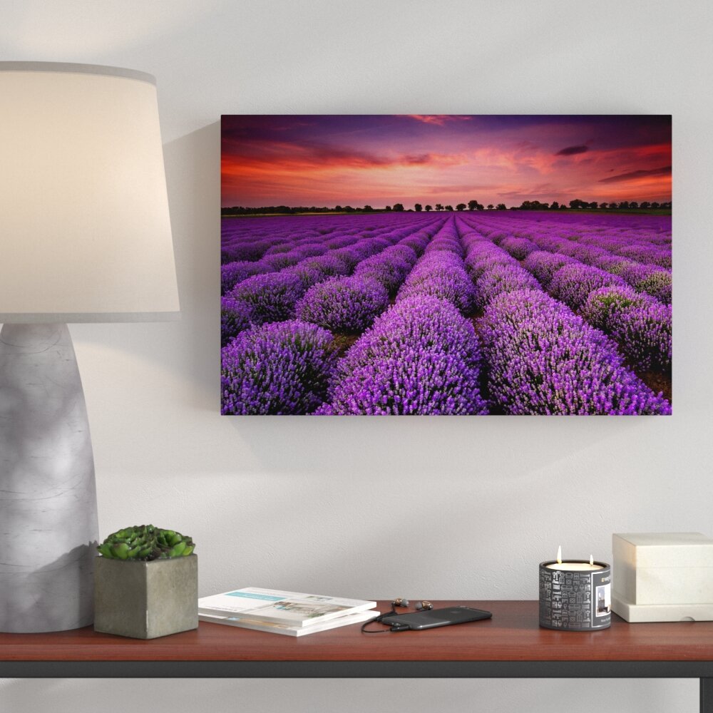 Lovely Lavender Provence Grafikdruck auf Leinwand