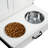 Food Storage And Container