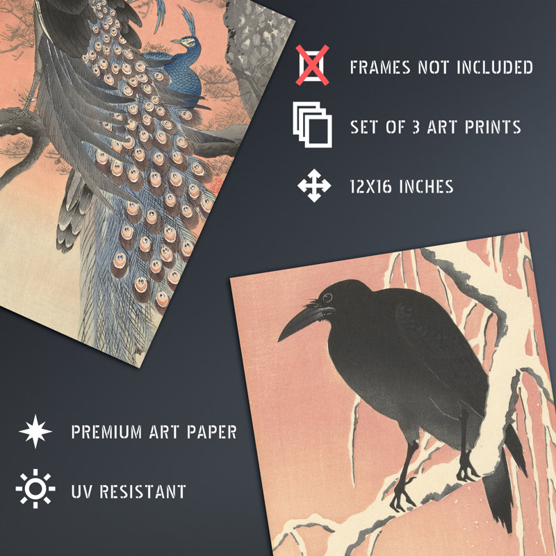 Aeara Kacho-e Crow Crane Peacock Paintings - 3 Piece No Frame Print, 40.5" H x 30.5" W x 0.3" D