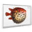 Prickly Blowfish by M.E. Bloch - Wrapped Canvas-55339334