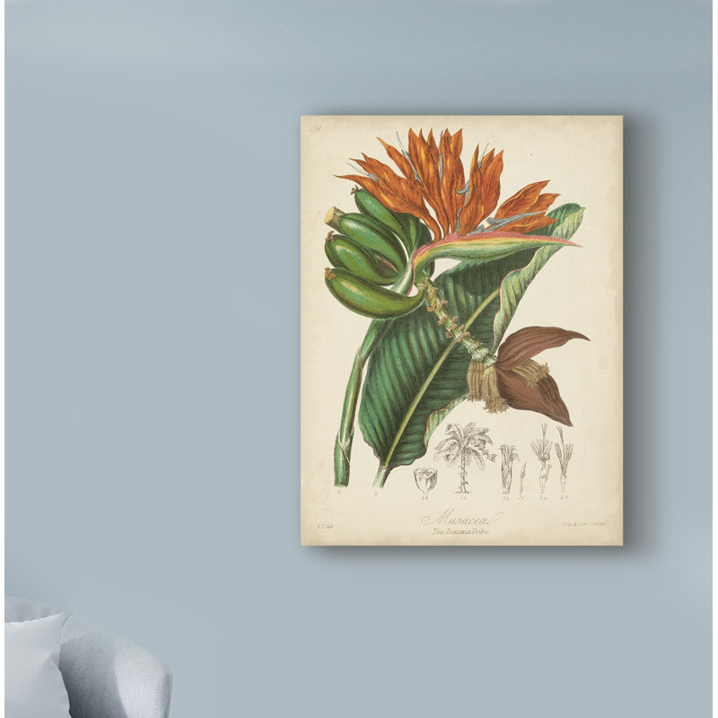 « botaniques iii », reproduction d’impression sur toile tendue, H 24 po x l 18 po x P 2 po
