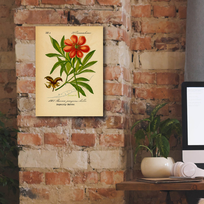 Toile épique Graffiti «Paeonia Peregrina Miller» par Art Licensing Studio, 12 po x 16 po, H 16 po x l 12 po