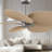 Alessandra - Five Blade Ceiling Fan-880970921-880970925