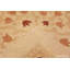 Tapis Amritsar