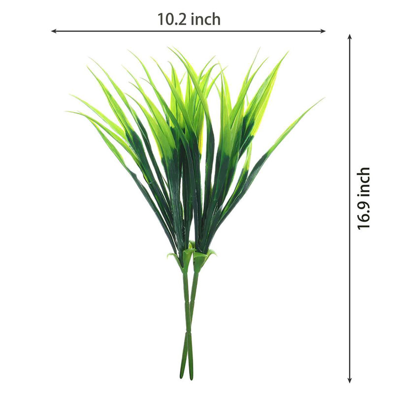 16,9 plante, Vert