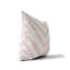 Coussin Zebra-107834666-107834667