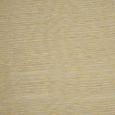 Classic Harvey Sand Silk Fabric