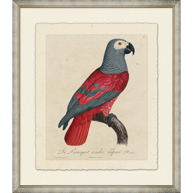 Le Perroquet 3 Painting