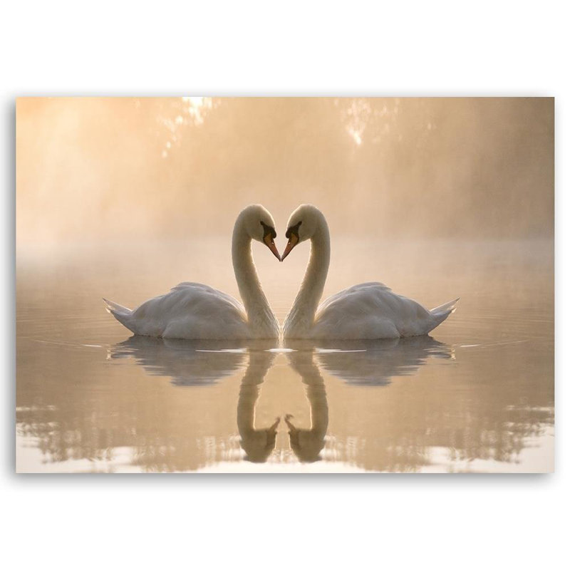 Swans On A Pond - Wrapped Canvas Print, 70cm H x 100cm W