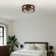 Karlena 18.9" Dimmable LED Ceiling Fan with Light and Remote Control
