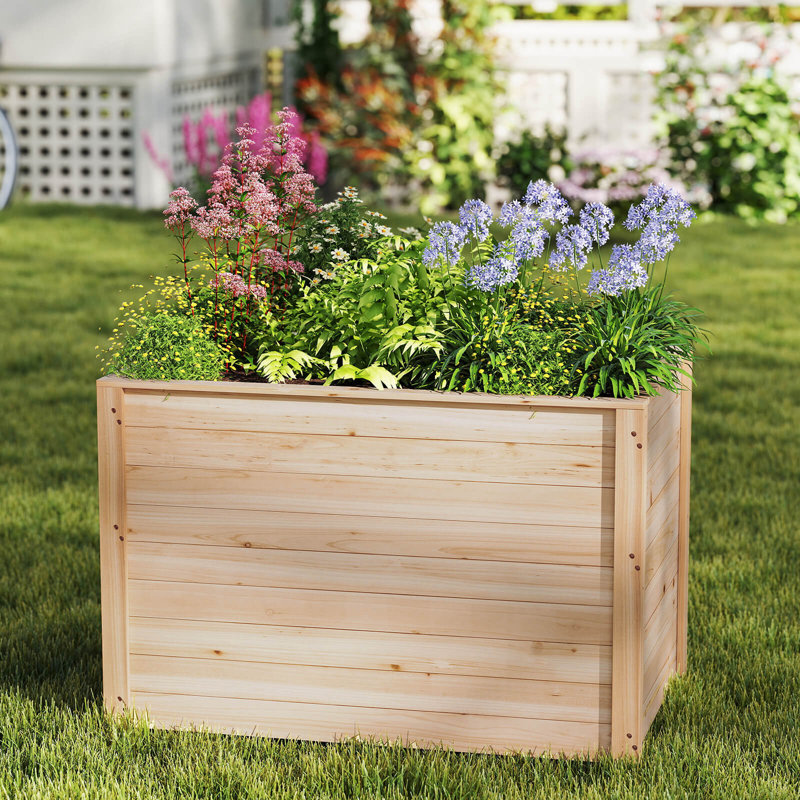 Boîte à fleurs surélevée avec base ouverte pour légumes à racines profondes, 2