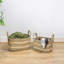 Bloomsbury Market Fabric Decorative Basket