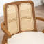 Chaises de salle à manger rembourrées Modern-230959634