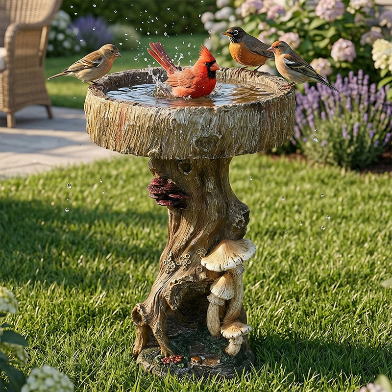 Bain d'oiseaux pour l'extérieur, bain d'oiseaux de 15,7 po de diamètre pour l'extérieur, bain multifonctionnel pour oiseaux et bol pour jardin