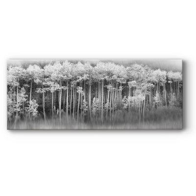 " Dreamy Aspen "