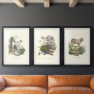 French Dogs X - impression encadrée sur mesure de qualité supérieure mate - 3 pièces