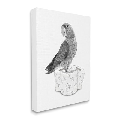 " Parrot And Toilet Paper Bathroom "