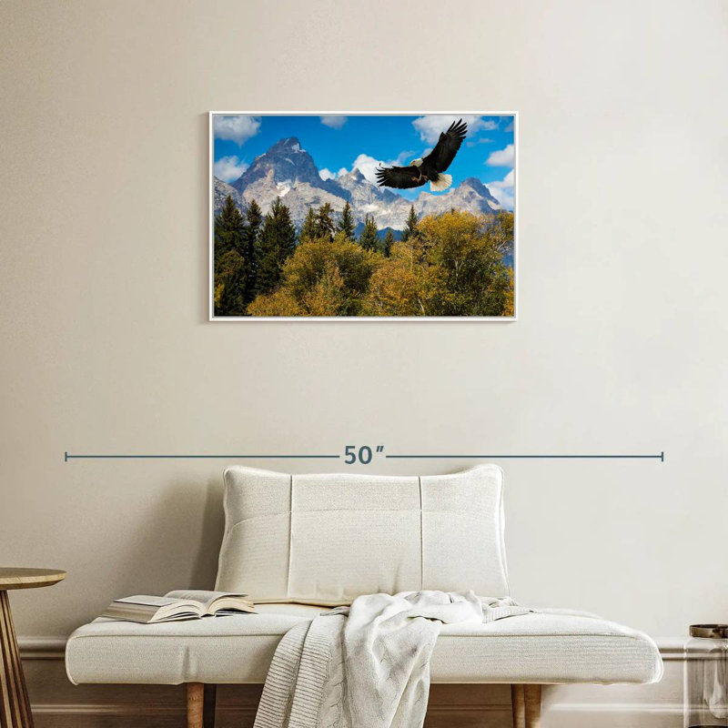 Grand Teton Eagle, Cadre flottant blanc, 31 po x 21 po