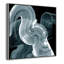 «Swirl II Print» par Casa Fine Arts-99322391-99322398