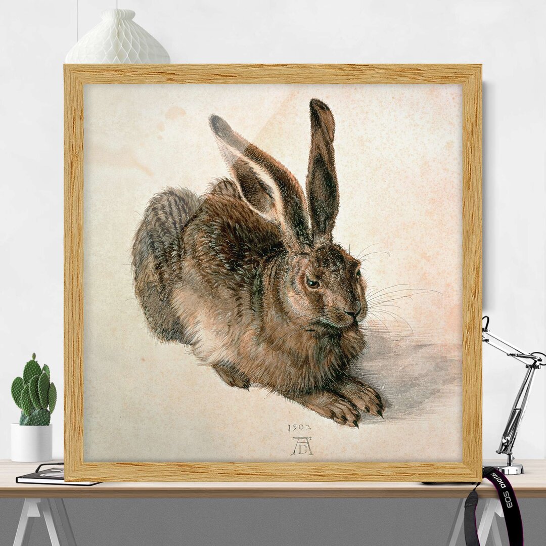 Gerahmter Kunstdruck Junger brauner Hase von Albrecht Dürer