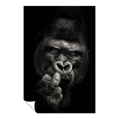 Monochrome Gorilla Close-Up Portrait - No Frame Print