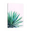 Agave Love - Print on Canvas-101336516-101336517