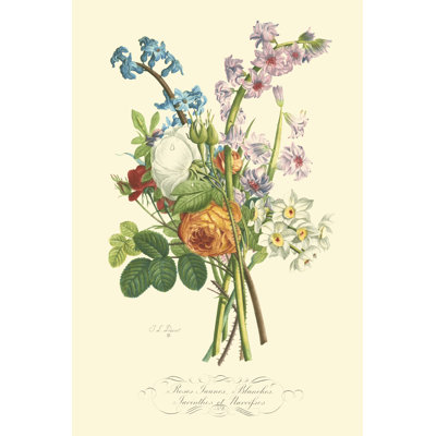 Plentiful Bouquet IV by T.L. Prevost - Wrapped Canvas Painting