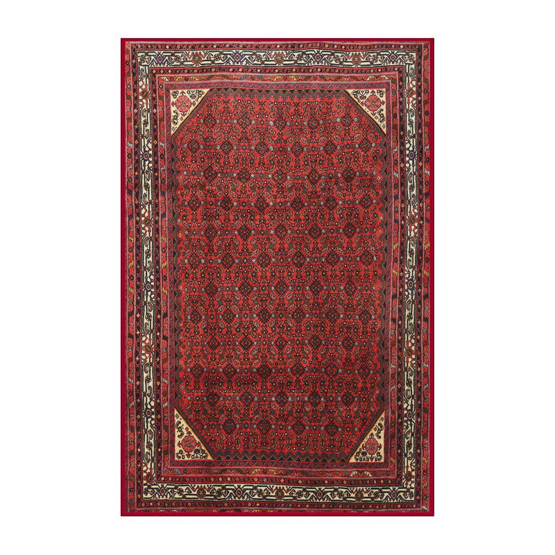 Oriental Indoor Rug, Rectangle 5' x 7'