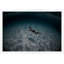 Swimmer Framed Photographic Print