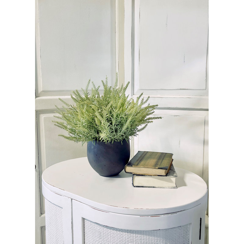 Astilbe Arrangement In A Fiberstone Pot
