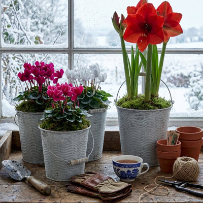 Ensemble de pots à fleurs Ameia