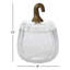 Translucent Pumpkin Terrarium 8.75"X8.75"X12.75"