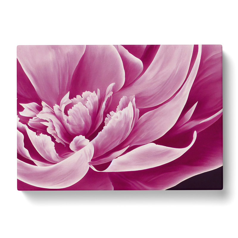 Awesome Peony Flower - Wrapped Canvas Print, 35cm H x 50cm W x 3cm D