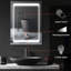 Armoire de rangement lumineuse pour salle de bain avec miroir - 3 tablettes, à intensité variable et deux options de couleur, économiseur d'espace mural, acier inoxydable rouille, gradateur 2 couleurs acier argenté