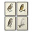 «Rising Above III», ensemble de 4 reproductions encadrées-819072097-819072158