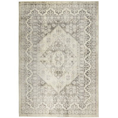 Shai Oriental Indoor Rug