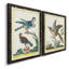 Toile encadrée Pastel Birds III-Premium - prête à être accrochée-2030393328-2030393334