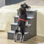 Escalier pour animal 4 marches Malbon-1940029021