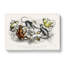 Orangutan And Monkeys by Oliver Goldsmith - Wrapped Canvas-55366815