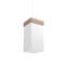 Luminaire suspendu unique à 1 lumière Cache-68945766-68945717