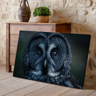 Toile, gros plan, portrait d'un majestueux hibou noir mettant en vedette ses textures de plumes complexes qui scintillent subtilement dans la toile tendue