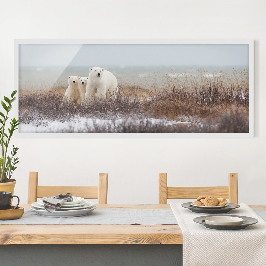 Gerahmtes Poster Polar Bear and Her Cubs