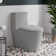 Dreux One Piece Elongated Dual Flush Toilet with 0.95/1.26 GPF