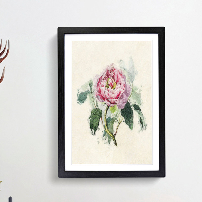 Illustration of a Pink Peony - Picture Frame Painting Print, 36cm H x 27cm W x 2cm D, Black Framed