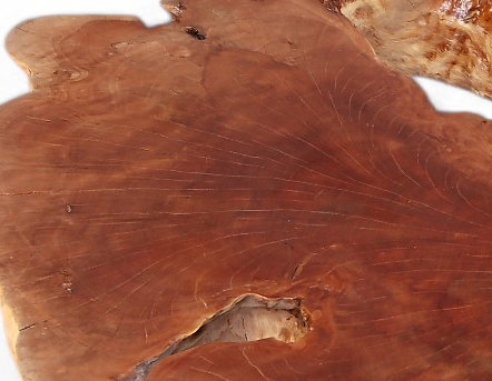 Solid Wood Coffee Table